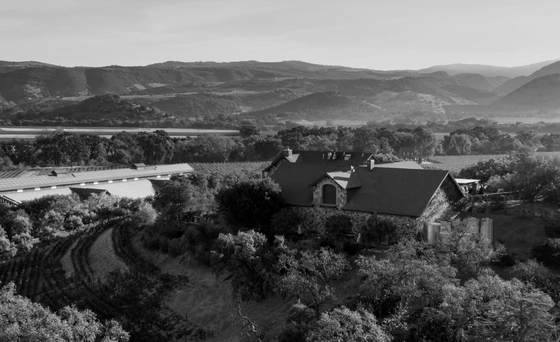 Cardinale Estate – Oakville, Napa Valley